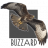 Buzzard